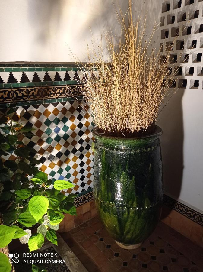 Riad Dar Badiaa Сейл Экстерьер фото